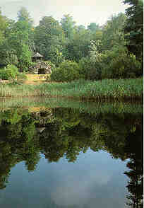 Someone has been in swimming....